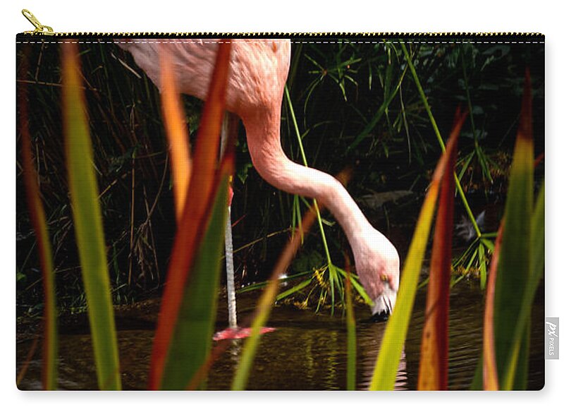 Taking a drink - Zip Pouch