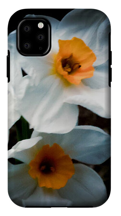 Three Daffodils in Bloom - Phone Case