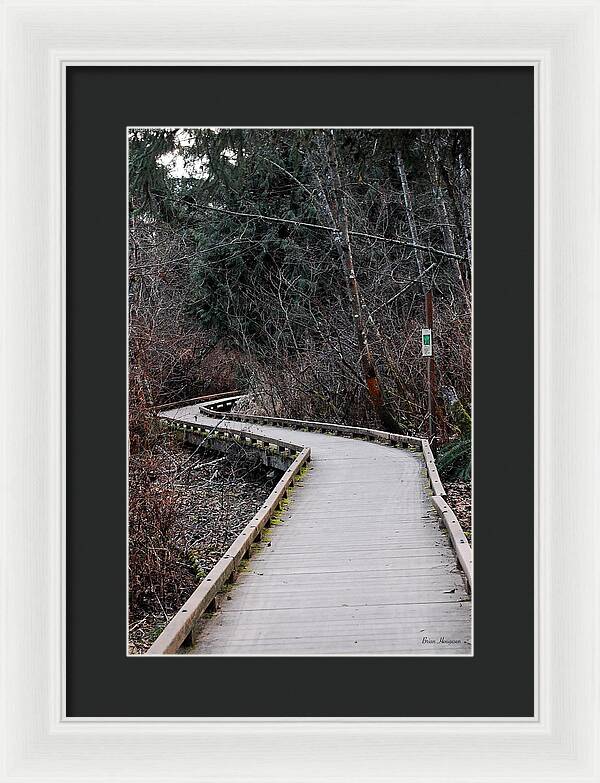 Trail - Framed Print