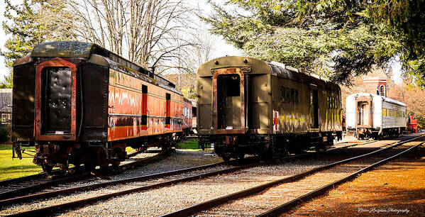 Vintage Train Cars on Tracks - Art Print
