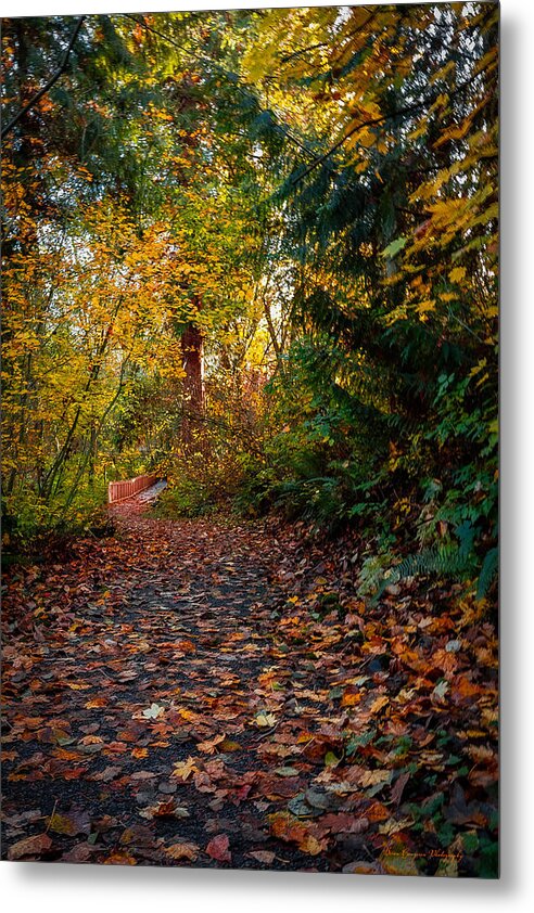 Walk in the park - Metal Print