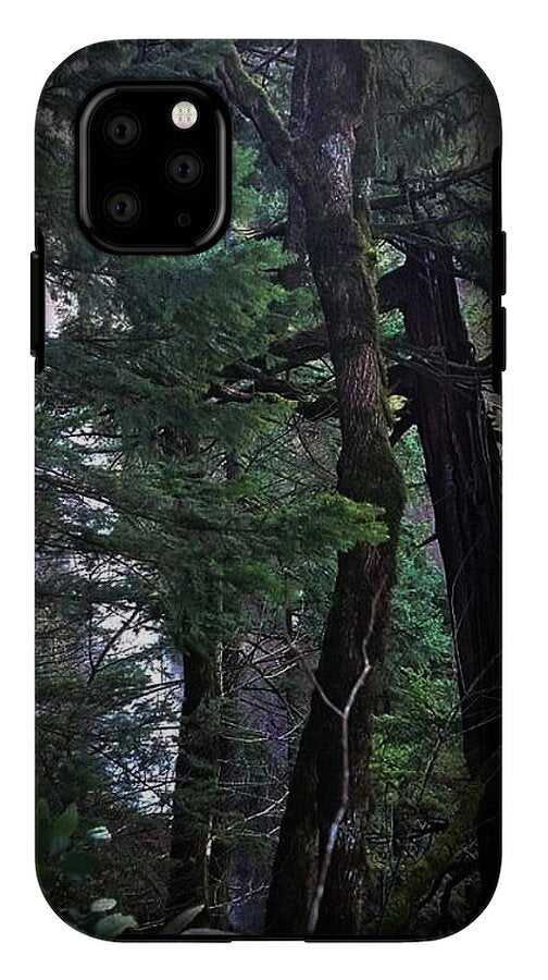 Water fall - Phone Case