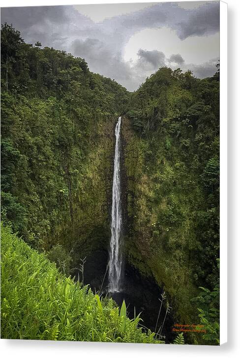 Water fall in Hilo, Hawaii - Canvas Print