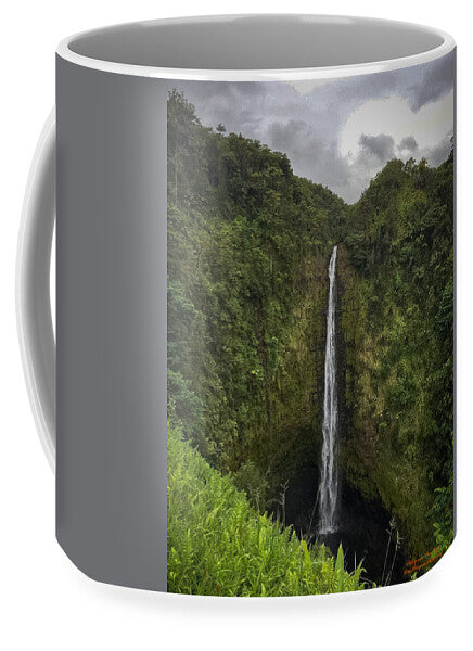 Water fall in Hilo, Hawaii - Mug