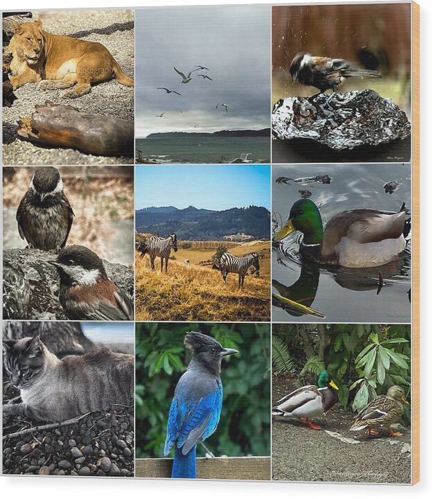 Wild life - Wood Print