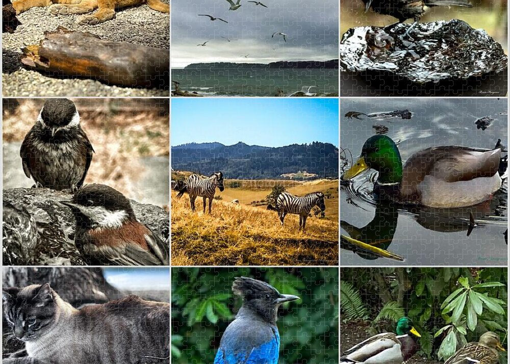 Wild life - Puzzle