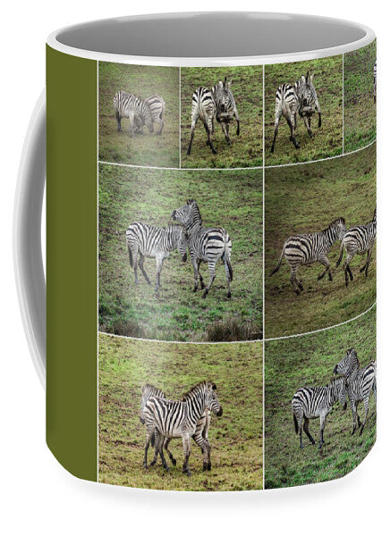 Zebras in play - Mug