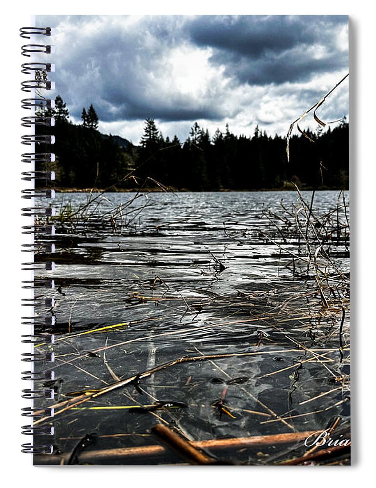 At the park  1 - Spiral Notebook