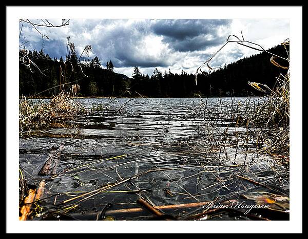 At the park  1 - Framed Print