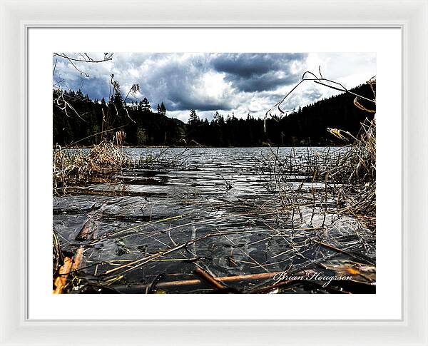 At the park  1 - Framed Print