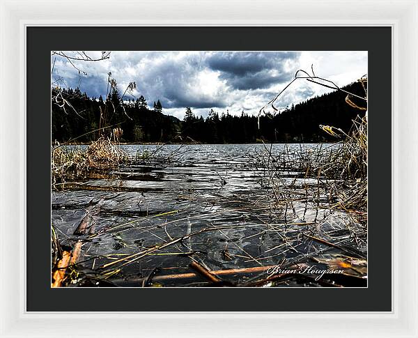 At the park  1 - Framed Print