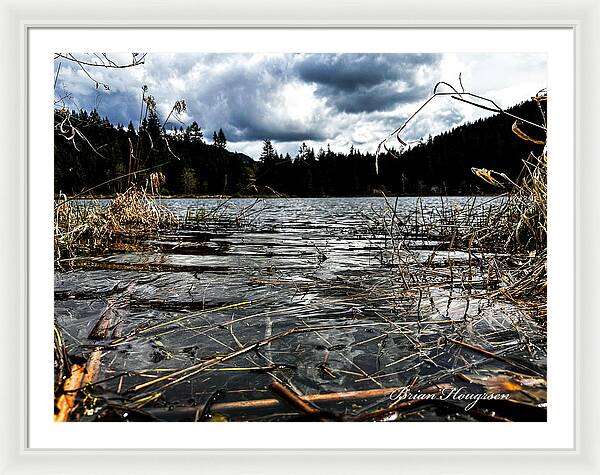 At the park  1 - Framed Print