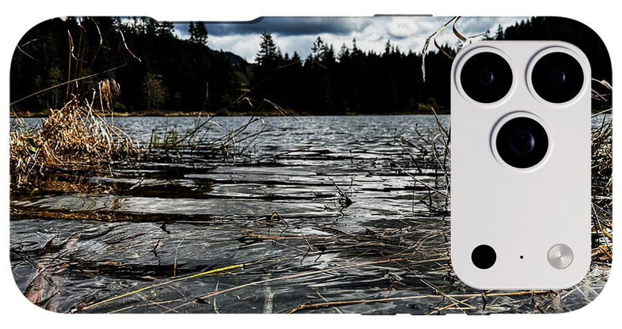 At the park  1 - Phone Case