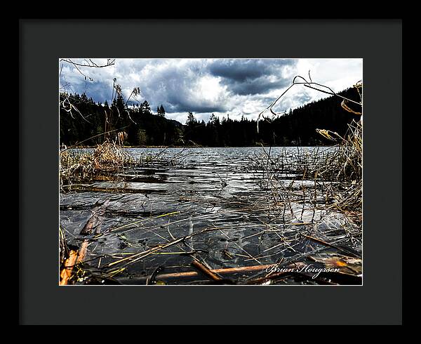 At the park  1 - Framed Print