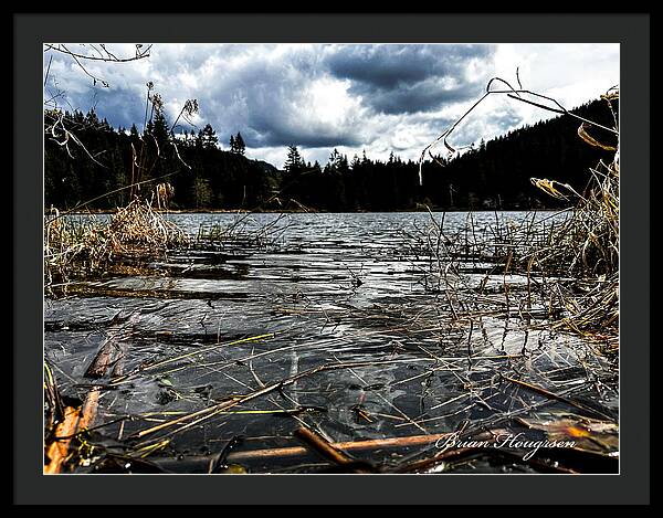 At the park  1 - Framed Print