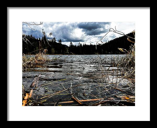At the park  1 - Framed Print