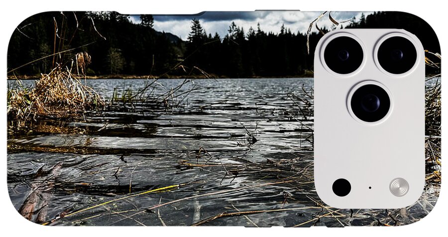 At the park  1 - Phone Case