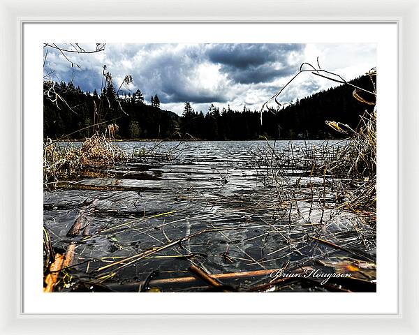 At the park  1 - Framed Print