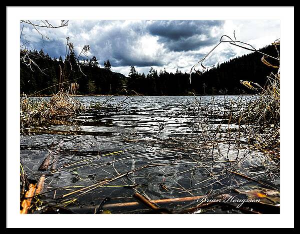 At the park  1 - Framed Print