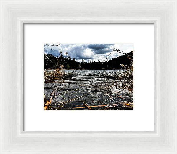 At the park  1 - Framed Print