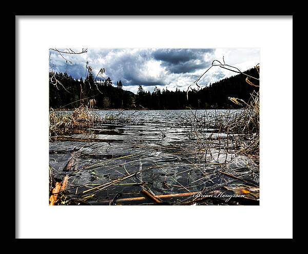 At the park  1 - Framed Print