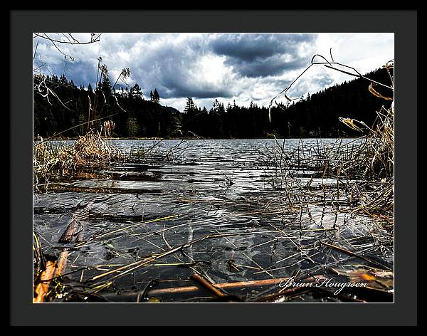 At the park  1 - Framed Print
