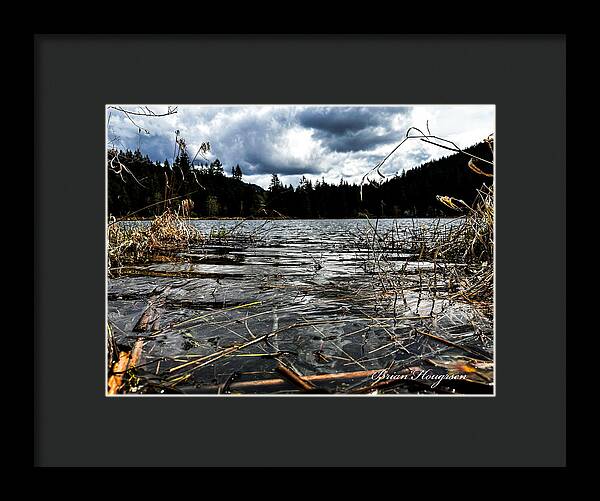At the park  1 - Framed Print