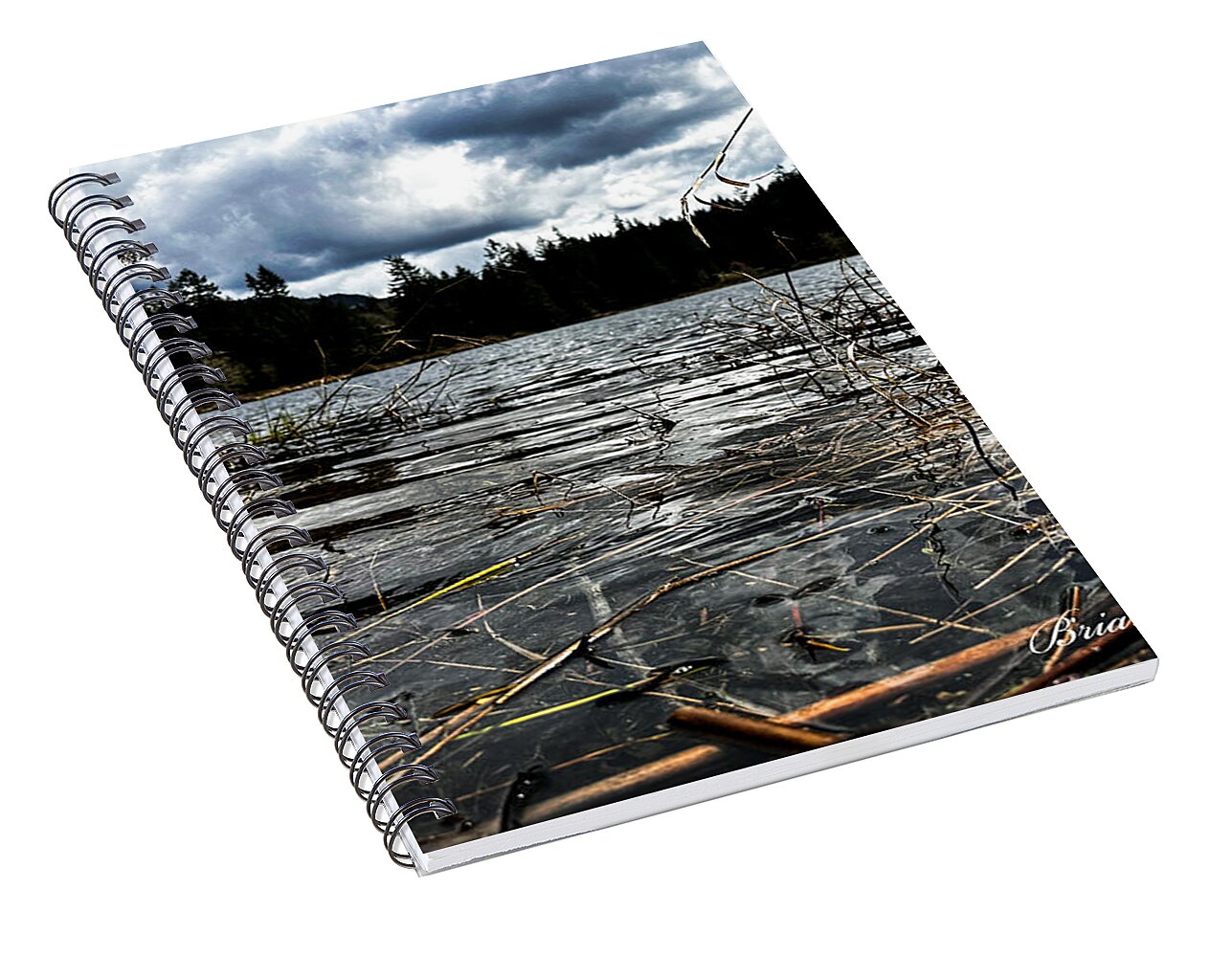 At the park  1 - Spiral Notebook