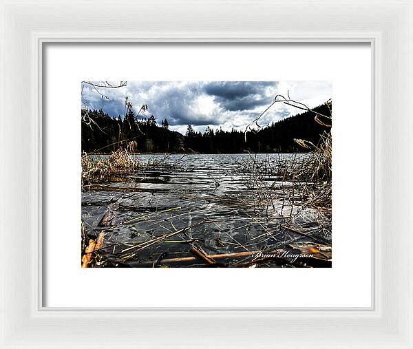 At the park  1 - Framed Print