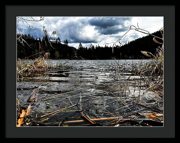 At the park  1 - Framed Print