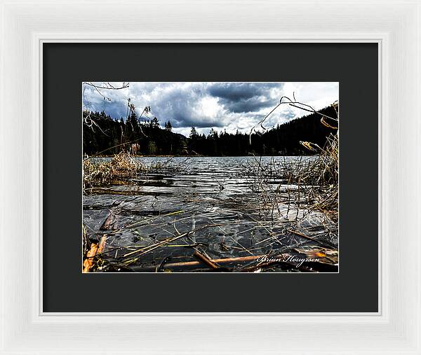 At the park  1 - Framed Print