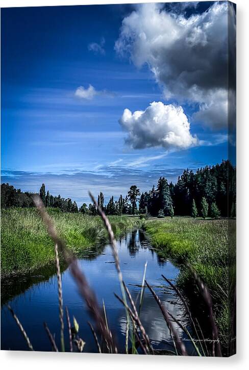 Reflection  1 - Canvas Print