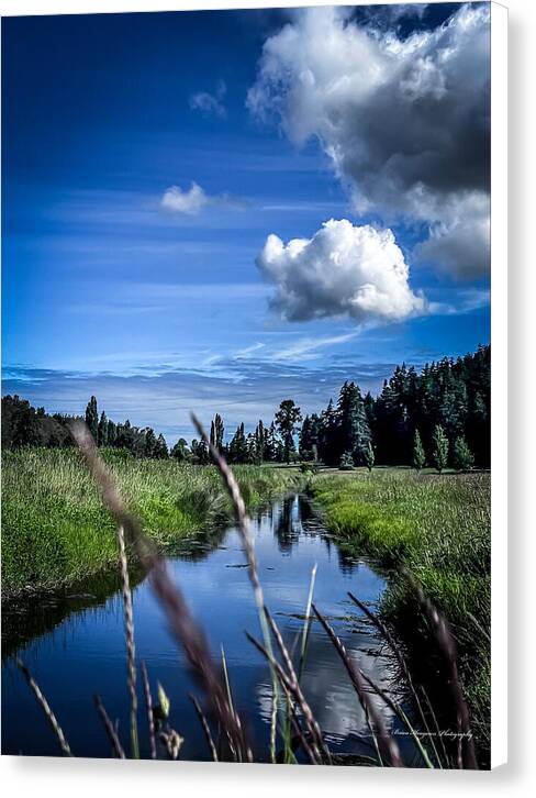 Reflection  1 - Canvas Print