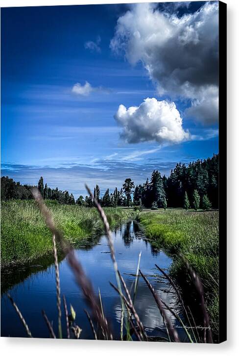 Reflection  1 - Canvas Print