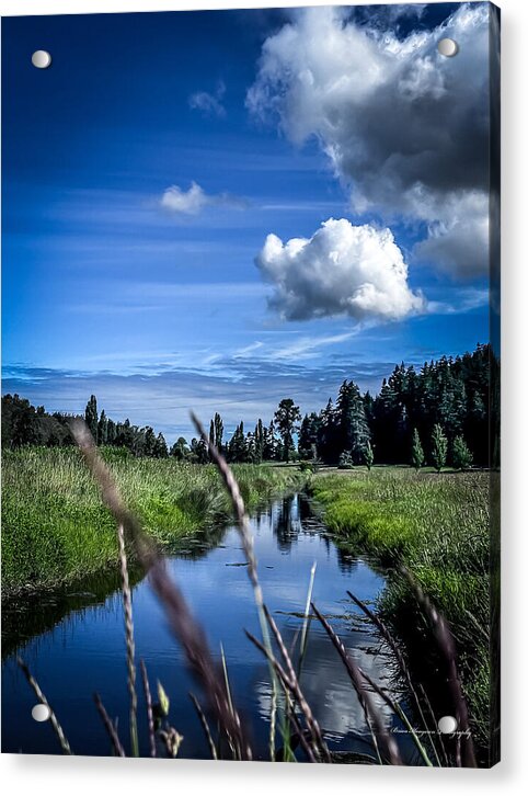 Reflection  1 - Acrylic Print
