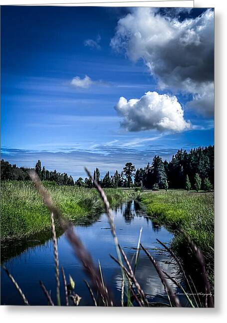 Reflection  1 - Greeting Card