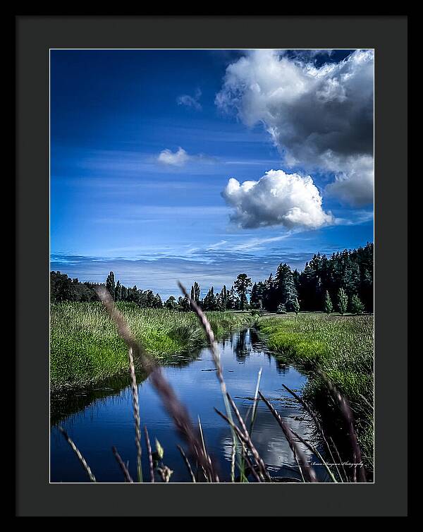 Reflection  1 - Framed Print