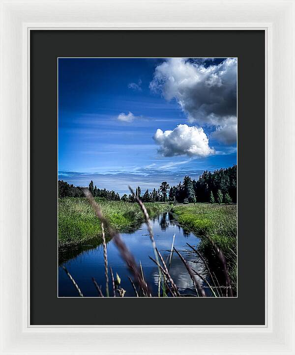 Reflection  1 - Framed Print