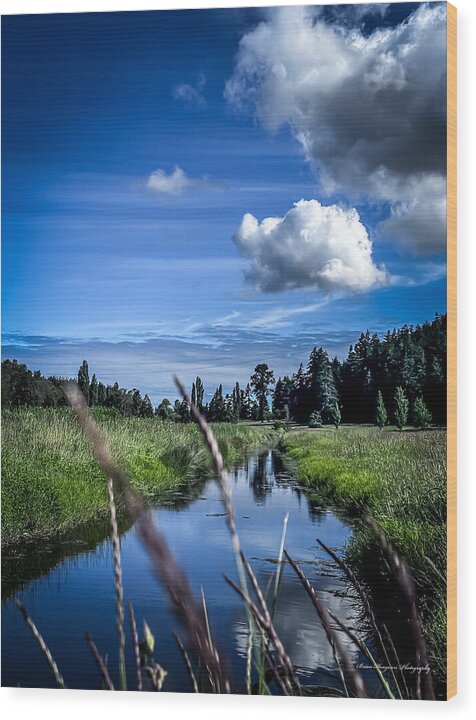 Reflection  1 - Wood Print