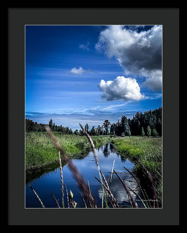 Reflection  1 - Framed Print