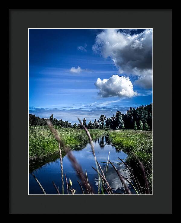 Reflection  1 - Framed Print