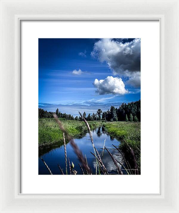 Reflection  1 - Framed Print