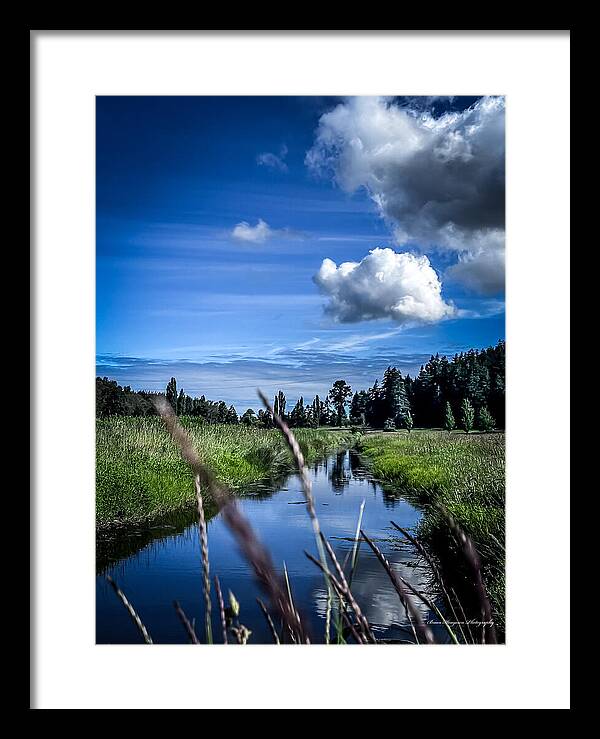 Reflection  1 - Framed Print