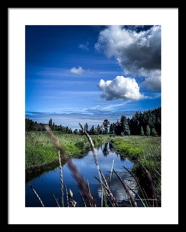 Reflection  1 - Framed Print
