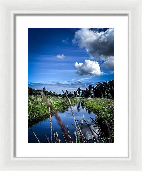 Reflection  1 - Framed Print