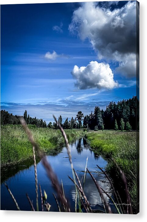 Reflection  1 - Acrylic Print