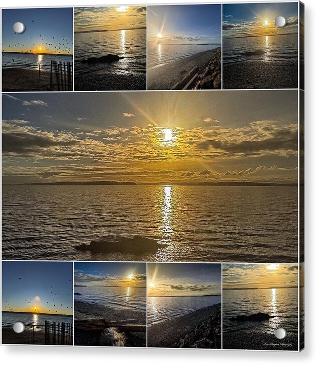 Sunsets  1 - Acrylic Print