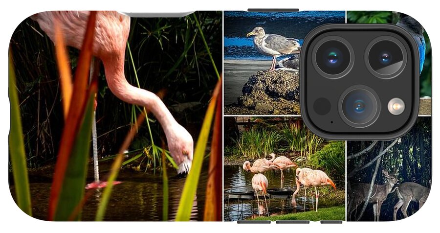 Wild life  1 - Phone Case