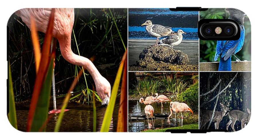 Wild life  1 - Phone Case