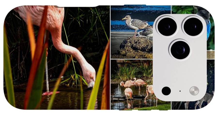 Wild life  1 - Phone Case